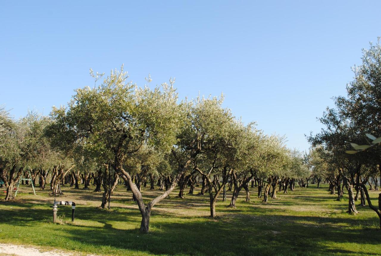 Agriturismo Melograno D'Oro Bardolino Exterior foto